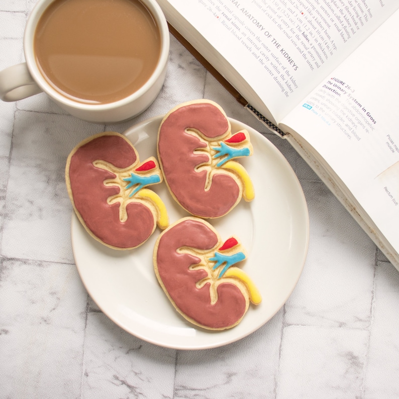 Anatomical Kidney Cookie Cutter Biscuit Cutters Gifts Etsy