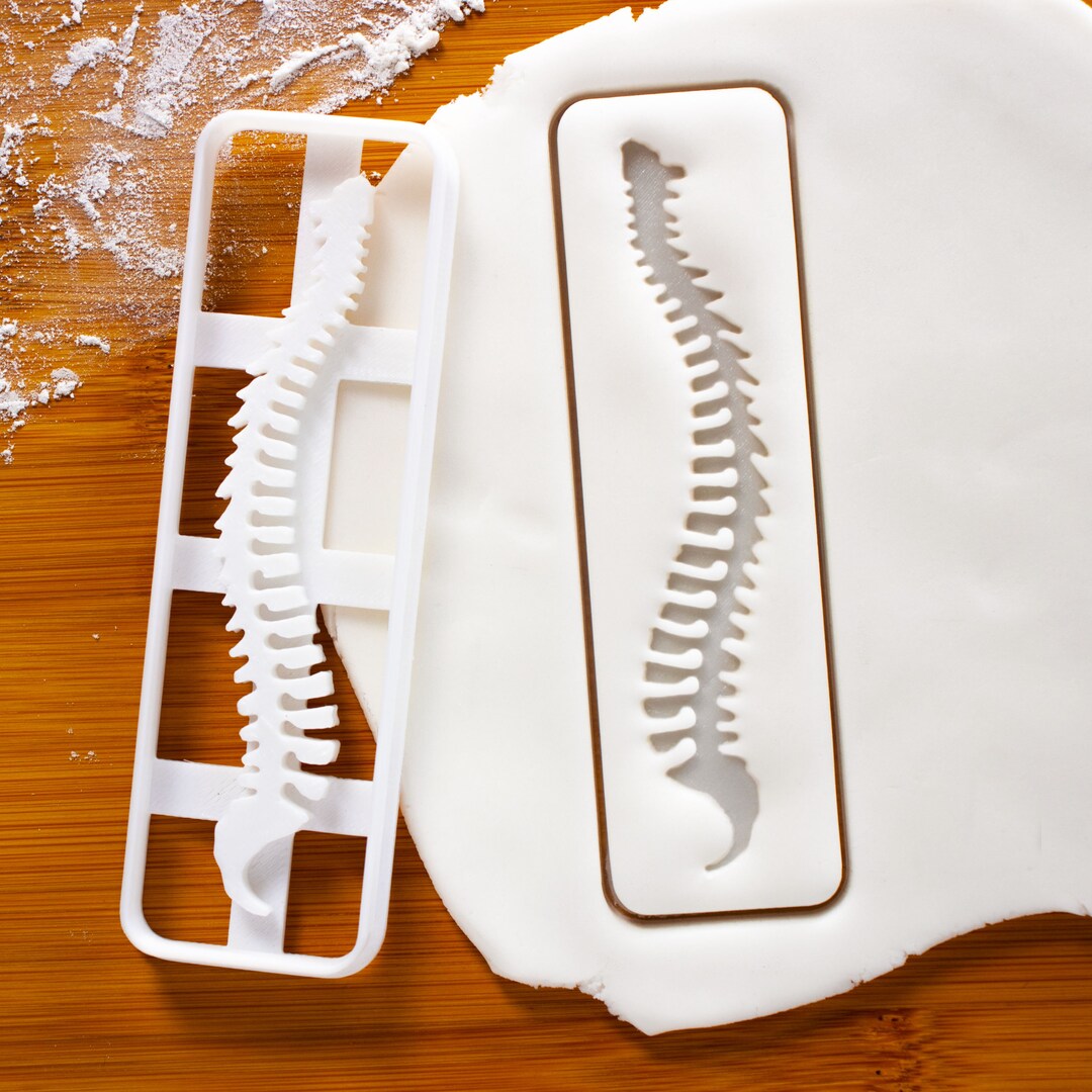 Emporte-pièce pour colonne vertébrale humaine Forme anatomique