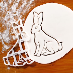 May include: A white plastic rabbit-shaped cookie cutter and a rabbit imprint on white dough. The cutter has a grid design, the imprint shows a detailed rabbit outline. The background is a wooden surface with flour, suggesting baking or crafting.