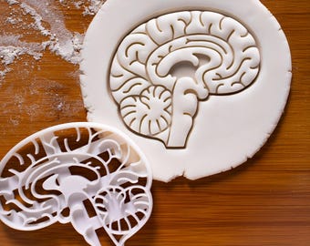 Anatomical Brain Cookie Cutter – Human Anatomy Shape, Medical & Science Student Gift