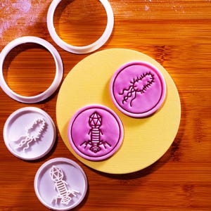 Bacteria & Virus Cookie Cutter Set: Microbiology STEM Mini Stamp Embossers