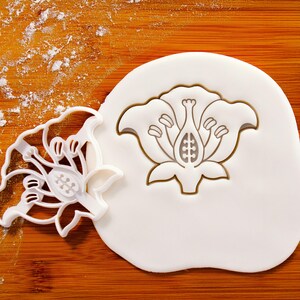 Flower Reproductive System cookie cutter - Bake some blooming biscuits for biology revision on pollination