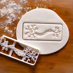 Neuron Cookie Cutter – Nerve Cell Anatomy Shape for Brain, Medical & Science Baking