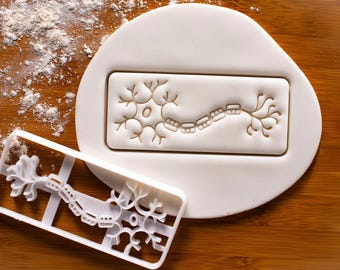 Neuron Cookie Cutter – Nerve Cell Anatomy Shape for Brain, Medical & Science Baking