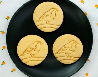 Robin Bird Tagliabiscotti Pasta Per Biscotti Fondente Natale - Foto 11