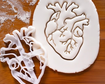 Anatomical Heart Cookie Cutter – Organ Anatomy Design for Medical Students, Science Lovers & Unique Baking