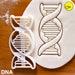 DNA cookie cutter | biscuit cutters cell cycle Deoxyribonucleic acid molecule genetics genetic Microbiology laboratory science chromosome 