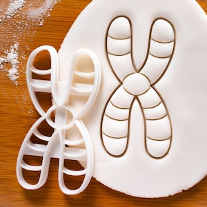 Chromosom Cookie Cutter: Genetik und DNA-Wissenschaft Design für Biologie-Studenten