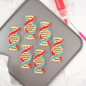 DNA cookie cutter biscuit cutters cell cycle Deoxyribonucleic acid molecule genetics genetic Microbiology laboratory science chromosome image 2