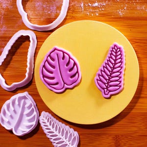 Ensemble d&#39;emporte-pièces Tropical Leaf – Monstera et fougère, jungle tropicale