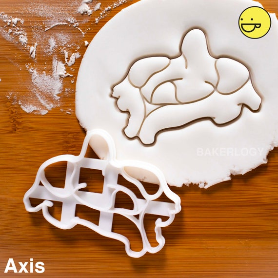 Human Spine cookie cutteranatomical backbone xray anatomy skeleton medical