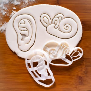 Anatomical Ear Cookie Cutter: Cochlea & Outer Ear
