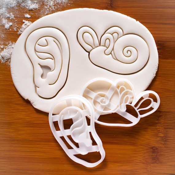 Cortador de galletas anatómico del oído: cóclea y oído externo - México Cortador de galletas anatómico del oído: cóclea y oído externo - México