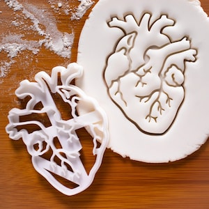 Anatomical Heart Cookie Cutter – Organ Anatomy Design for Medical Students, Science Lovers & Unique Baking