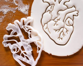 Anatomical Heart cookie cutter | Brain cookies cutters | biscuit cutter, Gifts for medical student science students | one of a kind | ooak