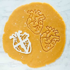 Anatomical Brain cookie cutter Heart cookies cutters biscuit cutter Gifts for medical student science students one of a kind ooak image 5