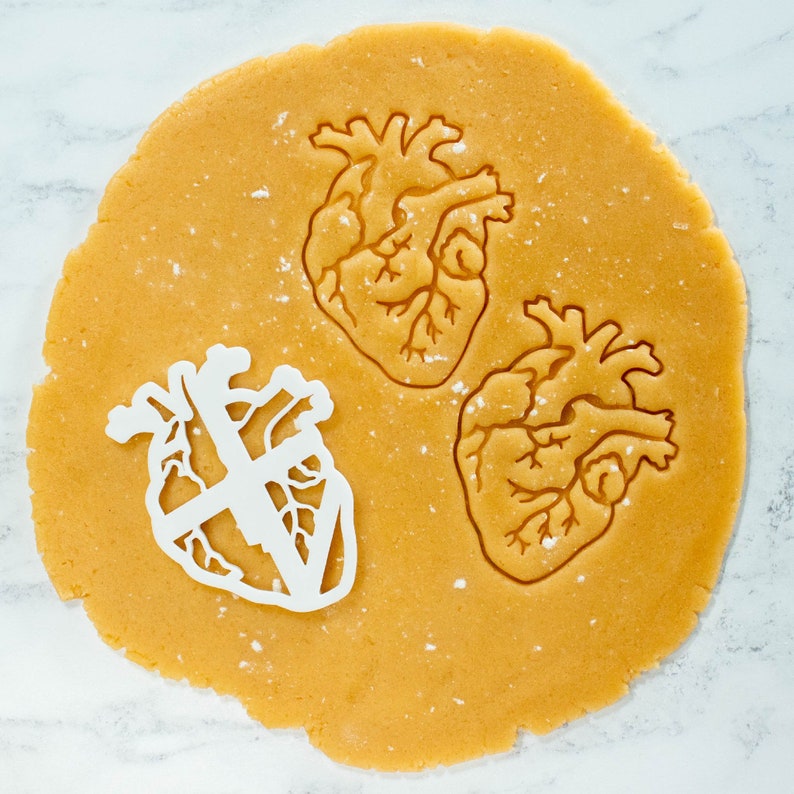 Anatomical Brain cookie cutter Heart cookies cutters biscuit cutter Gifts for medical student science students one of a kind ooak image 5