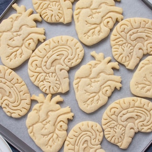 Anatomical Brain cookie cutter Heart cookies cutters biscuit cutter Gifts for medical student science students one of a kind ooak image 9
