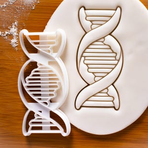 DNA cookie cutter | biscuit cutters cell cycle Deoxyribonucleic acid molecule genetics genetic Microbiology laboratory science chromosome