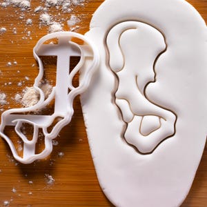 Koekjesvorm heupbot: ontwerp bekkenanatomie, medisch en verpleegkundig studentencadeau