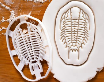 Trilobite cookie cutter | Bakerlogy biscuit cutters extinct marine arachnomorph arthropods fossil Jurassic Trilobita fossilized exoskeleton