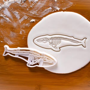 Blue Whale Skeleton cookie cutter | Bakerlogy biscuit cutters Balaenoptera musculus ocean sea mammal animal conservation rorquals wildlife