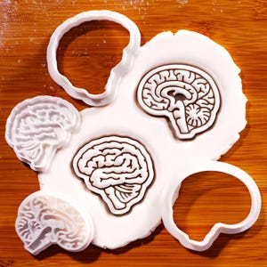 May include: A set of white plastic cookie cutters shaped like human brains, including two outline cutters and two detailed impression cutters, with two brain-shaped impressions already pressed into a flat piece of white dough.