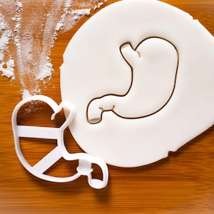 Anatomical Stomach, Liver and Intestines cookie cutter biscuit cutters | Anatomy Gifts medical students, doctors nurses paramedics