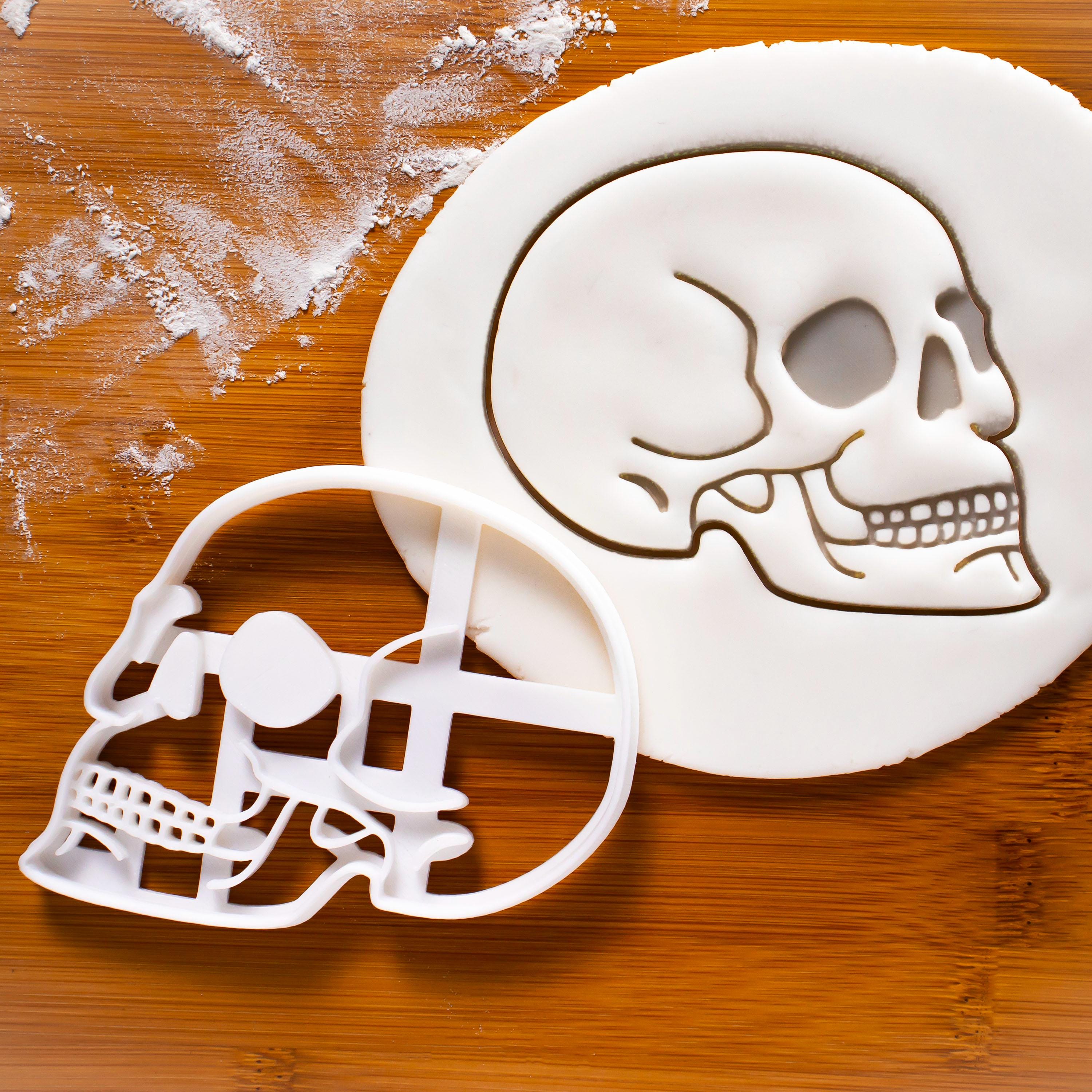 Foto Di Anatomia Cranio Umano - Scarica Immagini Gratuite Di Alta Qualità | Freepik - Foto 6