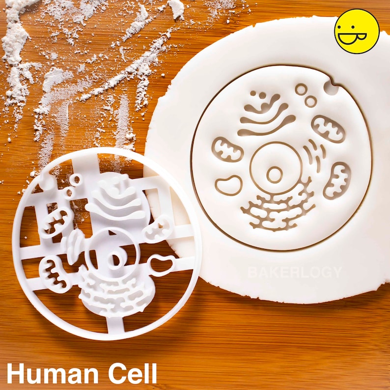 Human Cell cookie cutter medicine biscuit cutters Gifts medical science Robert Hooke students health student biology doctors Bakerlogy image 1