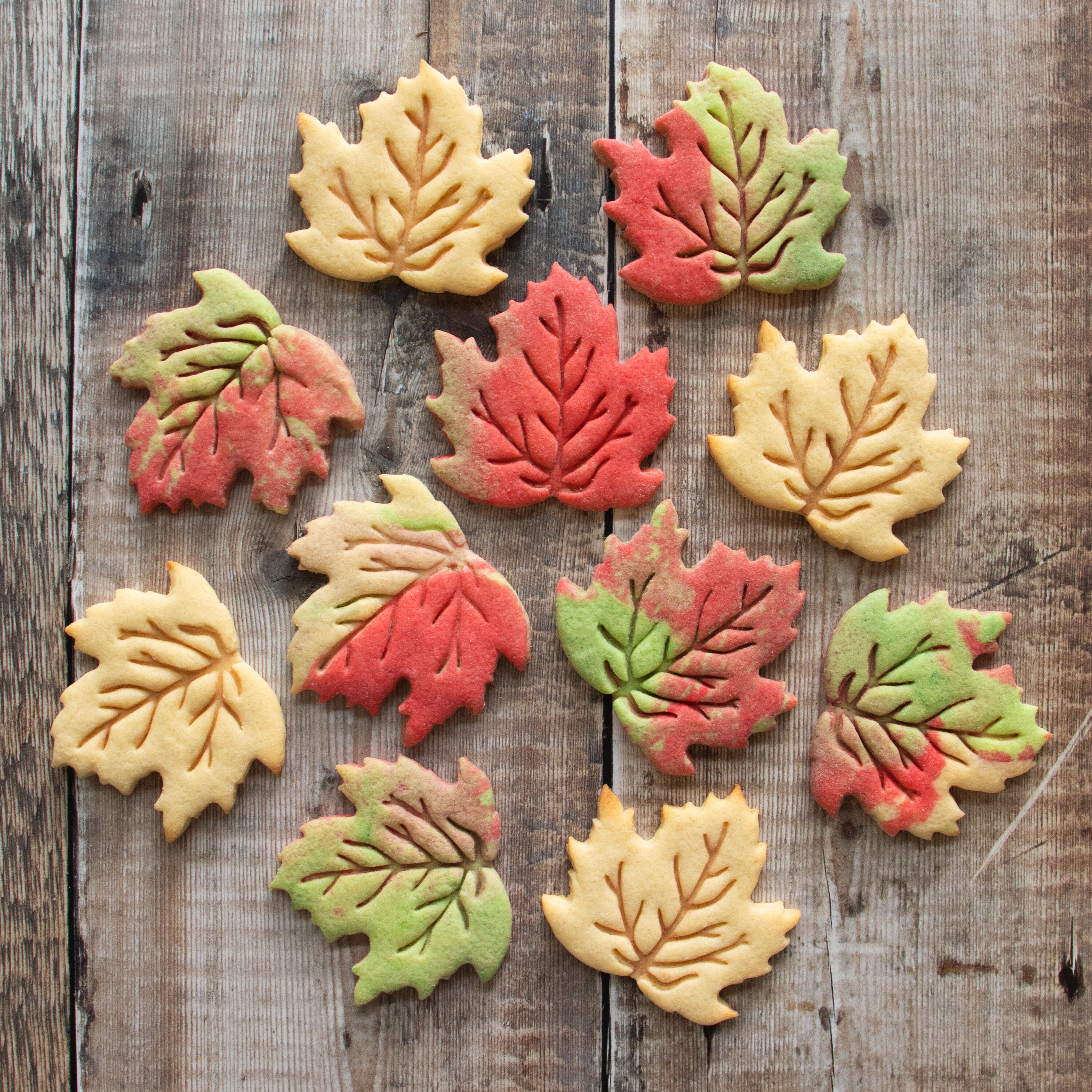 Städter Tagliabiscotti Foglia Di Acero - Bartolini Firenze - Foto 5