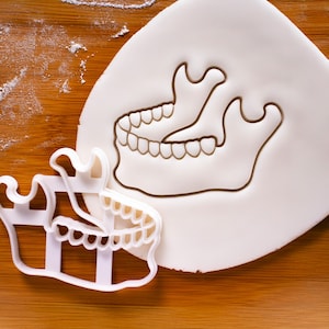Human Mandible Cookie Cutter: Anatomy Jaw Bone, Archeology & Halloween Baking