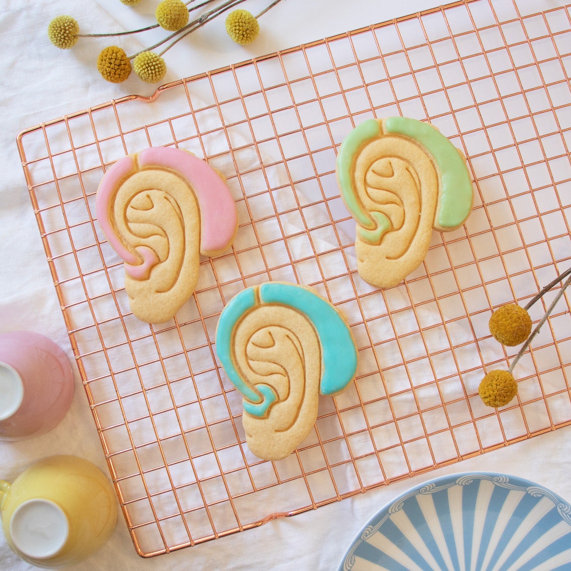Hearing Aid Cookie Cutter Biscuit Cutter Outer Human Ear Etsy