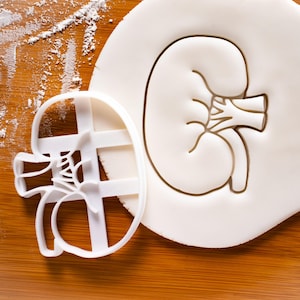 Cortador de biscoitos anatômicos de rim | cortadores de biscoitos | Presentes para estudantes de medicina partes de órgãos do corpo humano anatomia de órgãos renais