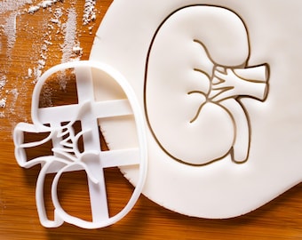 Anatomical Kidney cookie cutter | biscuit cutters | Gifts medical students human body organ parts renal organs anatomy