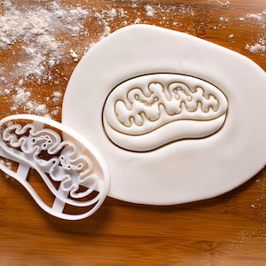 Mitochondria cookie cutter | Bakerlogy biscuit cutters Mitochondrion powerhouse cell cycle Microbiological Microbiologist laboratory science