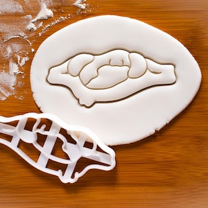 Coupe-biscuits Atlas Vertebra - Forme anatomique de la colonne cervicale C1 pour la pâtisserie médicale et scientifique