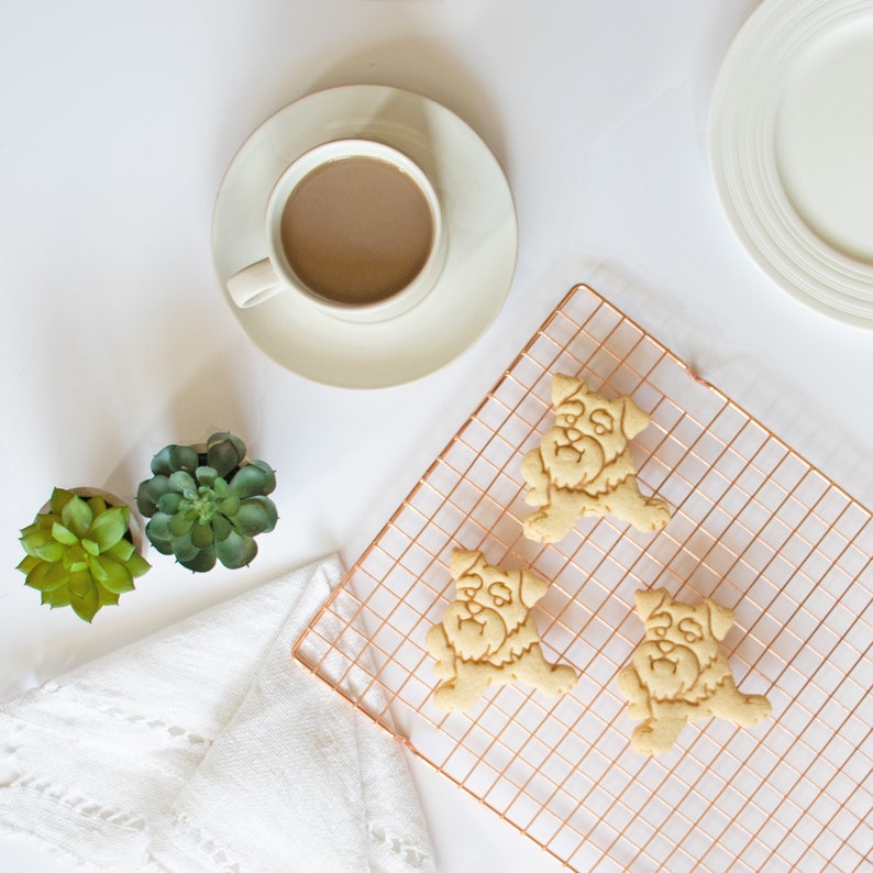 Mini Schnauzer Face cookie cutter Bakerlogy biscuit cutters furry friend adoption drive vet Veterinary miniature schnauzers cute portrait image 5