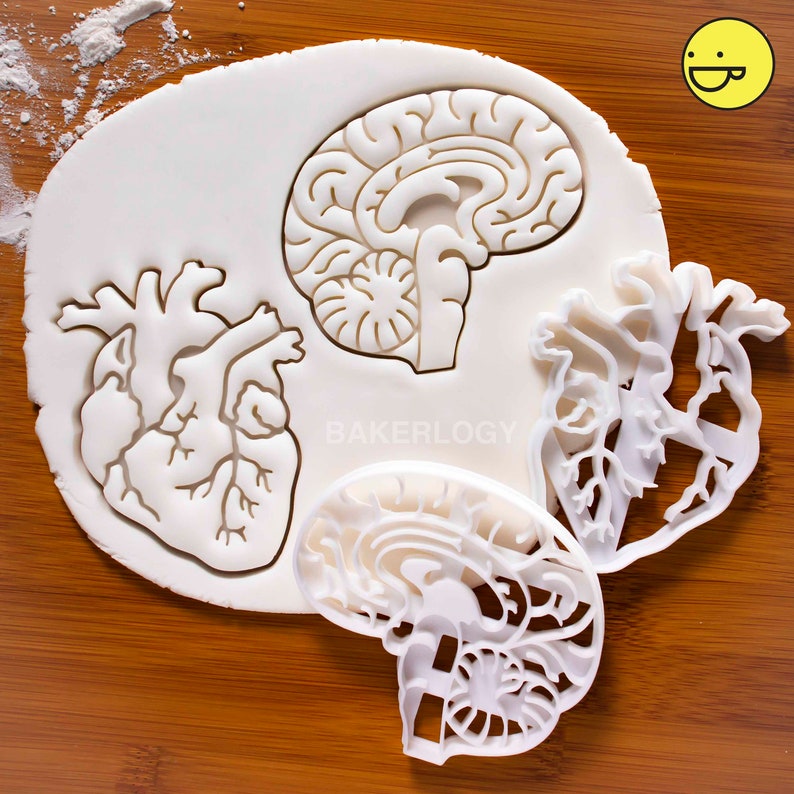 Anatomical Brain cookie cutter Heart cookies cutters biscuit cutter Gifts for medical student science students one of a kind ooak Promo SET: Get Both!