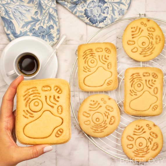 Microscope Magnify Zoom Forme Cookie Cutter Pâte Biscuit Pâtisserie Fondant STAMP