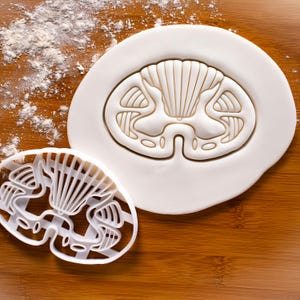 Spinal Transverse Cookie Cutter: Nervous System Anatomy, Medical Student Neurology Gift
