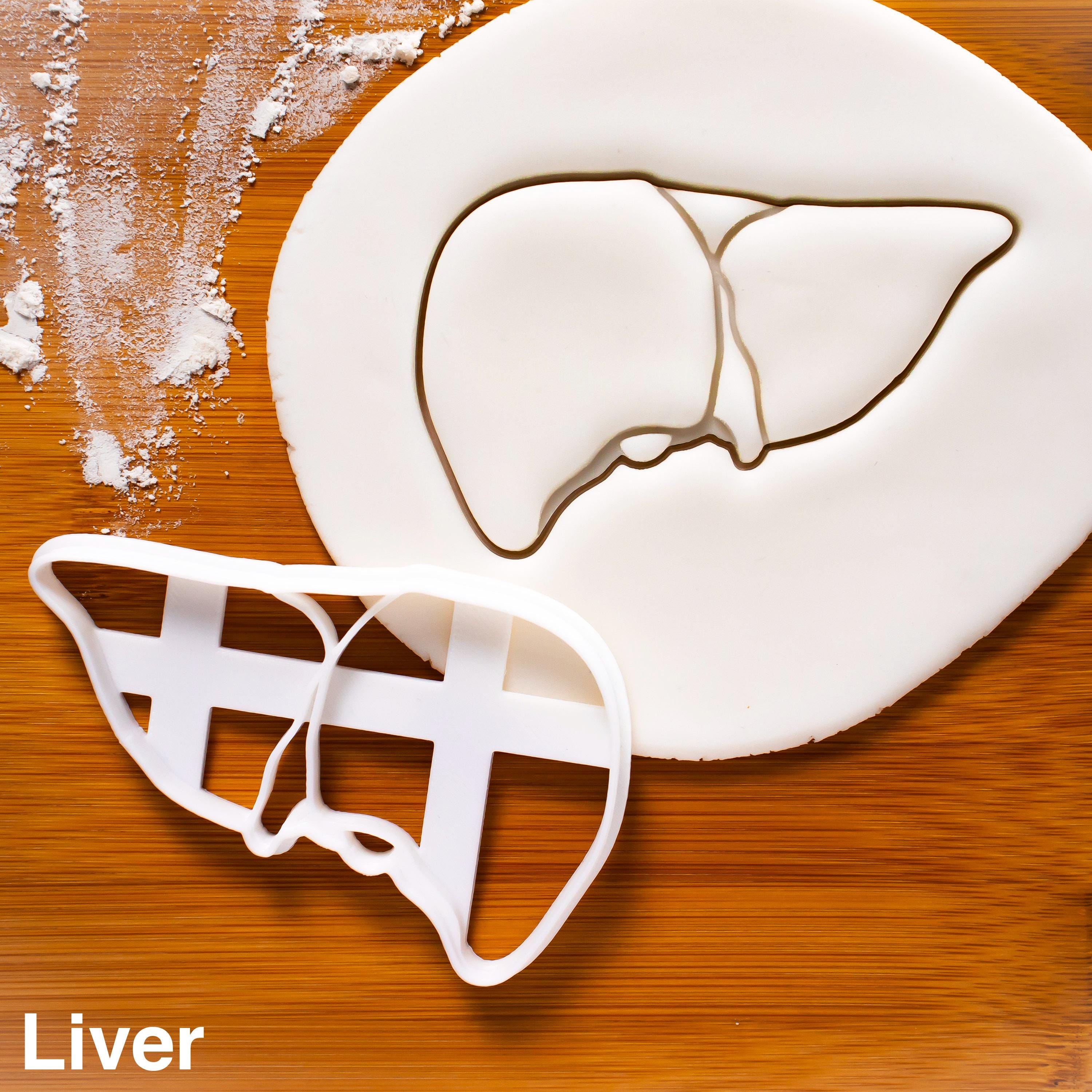 Human Cutter Shape Intestines Cookie Cutter – Human Anatomy Shape for Medical, Science ...