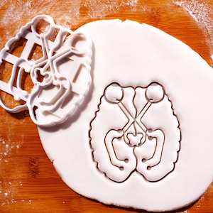 Human Visual System Cookie Cutter - Neuroanatomy delight, intricate Optic Pathways transmitted to the brain