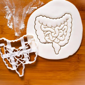腸クッキーカッター - 医療、科学、医師へのギフトベーキングに最適な人体解剖図