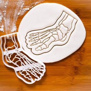 Anatomical Human Foot Cookie Cutter – Podiatry Shape for Medical, Anatomy & Science Baking