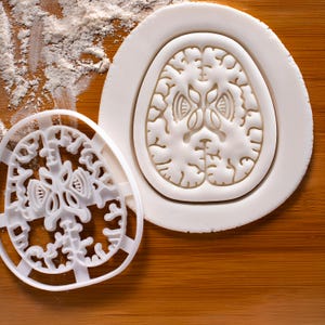 Brain Cookie Cutter: Axial Section, Neuroimaging Anatomy