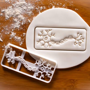 Neuron cookie cutter | Bakerlogy biscuit cutters nerve cell brain neurons dendrites axons fibers neurone central nervous system CNS synapses