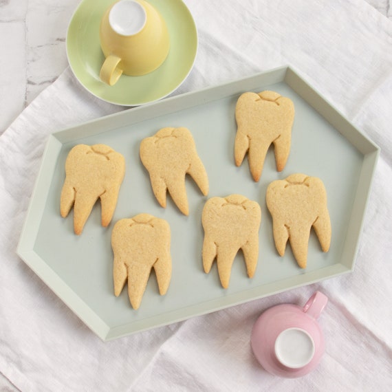 Tooth Molar Cookie Cutter set of 2 Pastry Fondant Cutter Biscuit 