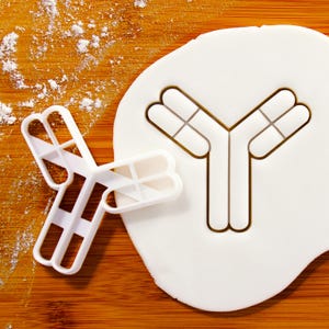 Antibody cookie cutter | Immunoglobulin biscuit cutters Ig protein medical science immune system antibodies clinical trials research