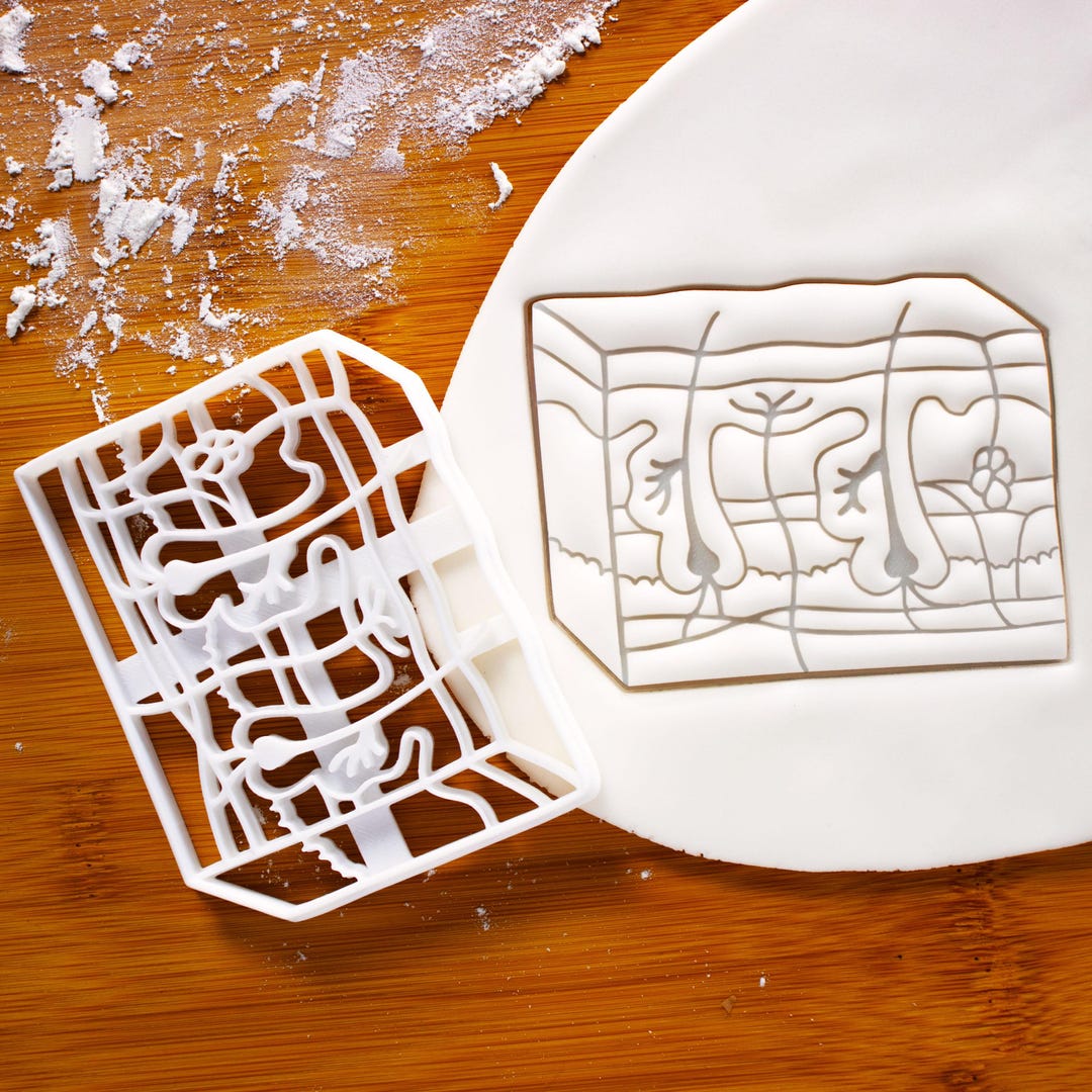 Human Cutter Shape Skin Anatomy Cookie Cutter – Human Dermatology Shape for Medical ...